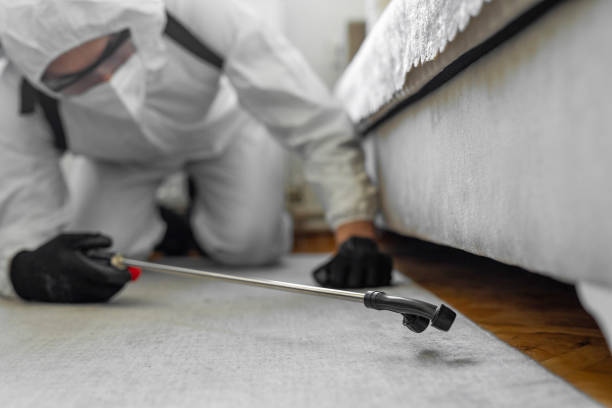 Professional Termite Control technician working in Coldspring, TX