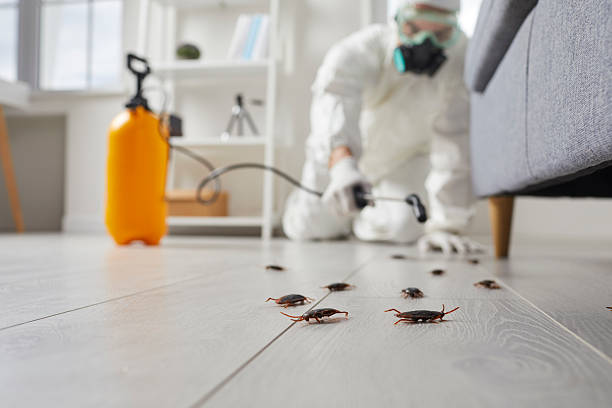 Affordable Termite Control solutions in Coldspring, TX